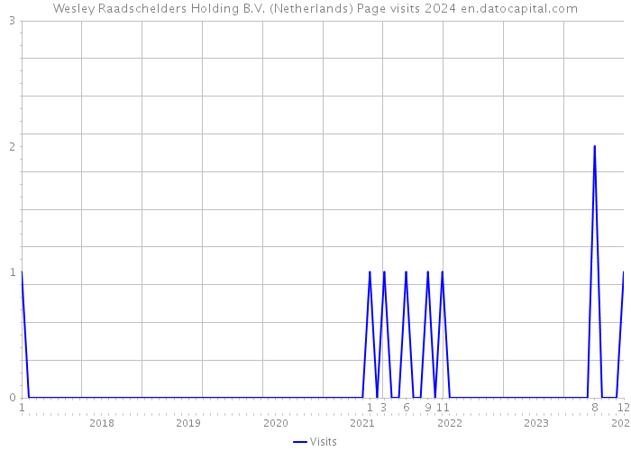 Wesley Raadschelders Holding B.V. (Netherlands) Page visits 2024 