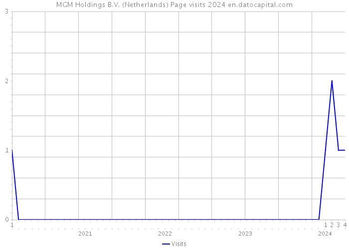 MGM Holdings B.V. (Netherlands) Page visits 2024 