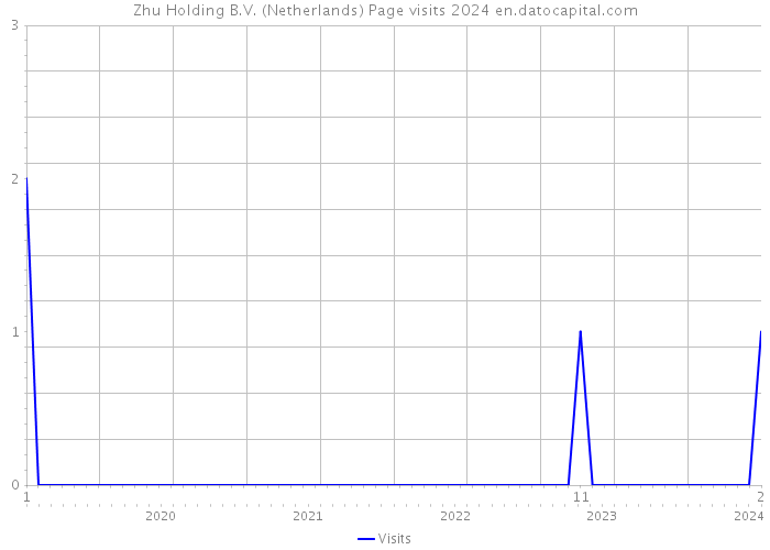 Zhu Holding B.V. (Netherlands) Page visits 2024 