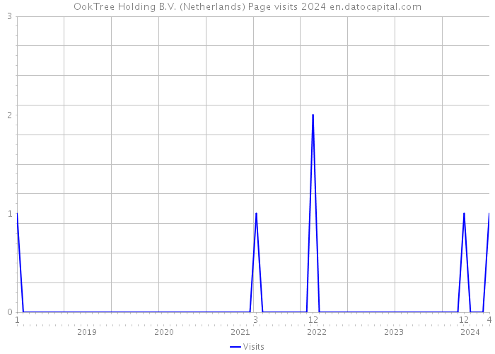 OokTree Holding B.V. (Netherlands) Page visits 2024 