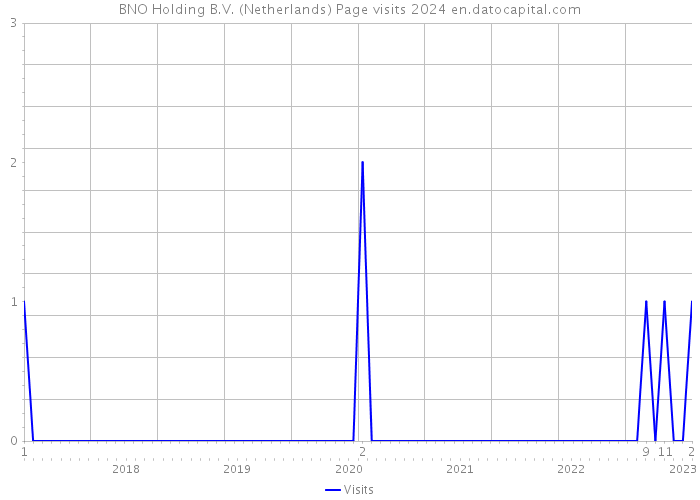BNO Holding B.V. (Netherlands) Page visits 2024 