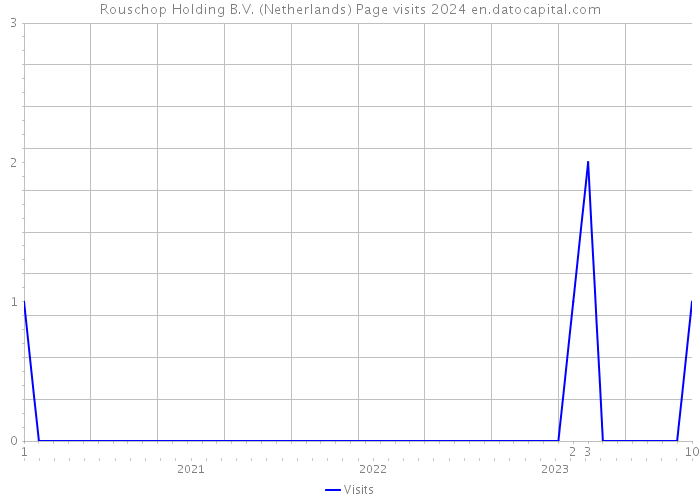 Rouschop Holding B.V. (Netherlands) Page visits 2024 
