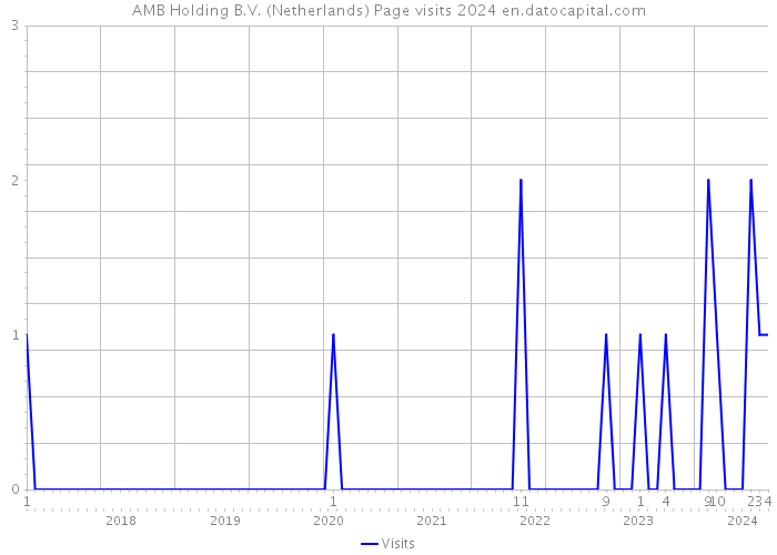 AMB Holding B.V. (Netherlands) Page visits 2024 