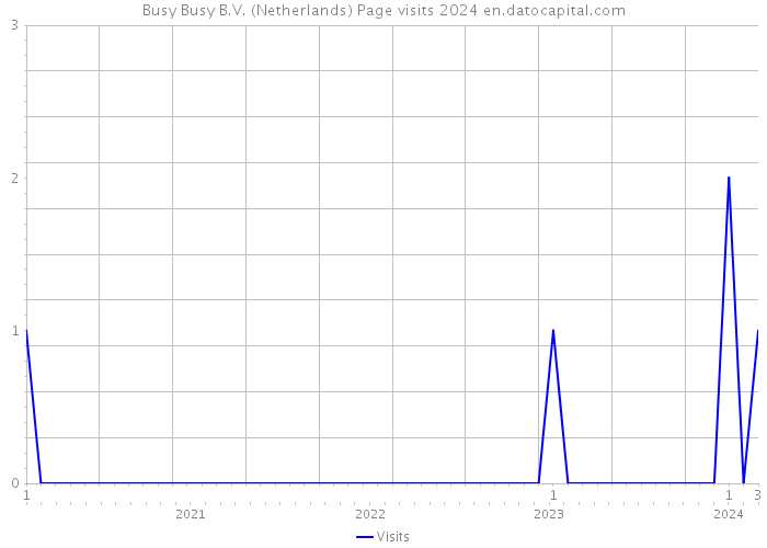 Busy Busy B.V. (Netherlands) Page visits 2024 