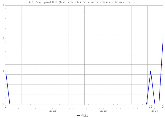 B.A.G. Vastgoed B.V. (Netherlands) Page visits 2024 