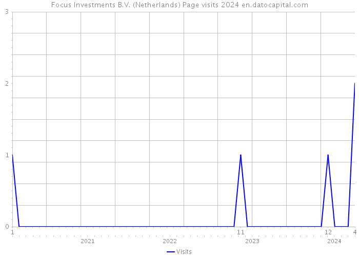 Focus Investments B.V. (Netherlands) Page visits 2024 