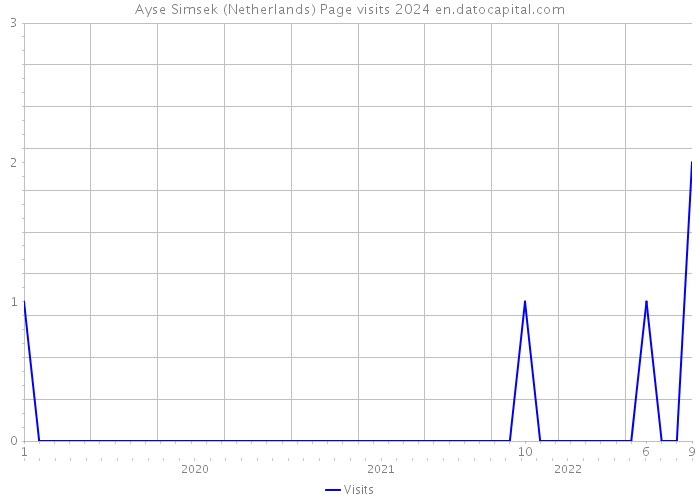 Ayse Simsek (Netherlands) Page visits 2024 