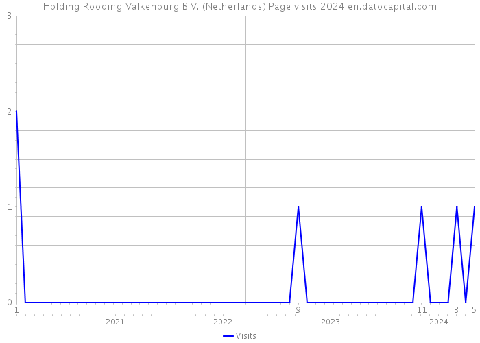 Holding Rooding Valkenburg B.V. (Netherlands) Page visits 2024 