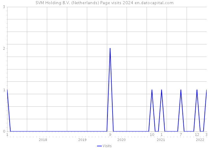 SVM Holding B.V. (Netherlands) Page visits 2024 