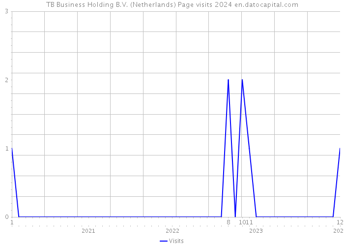TB Business Holding B.V. (Netherlands) Page visits 2024 