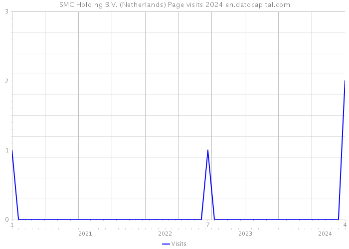 SMC Holding B.V. (Netherlands) Page visits 2024 