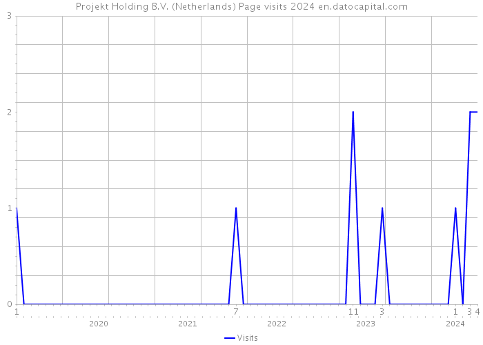 Projekt Holding B.V. (Netherlands) Page visits 2024 
