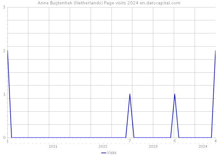 Anne Buijtenhek (Netherlands) Page visits 2024 