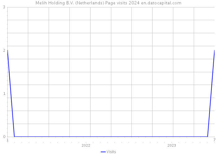 Melih Holding B.V. (Netherlands) Page visits 2024 