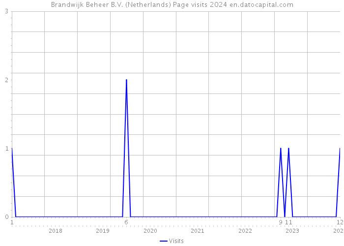 Brandwijk Beheer B.V. (Netherlands) Page visits 2024 