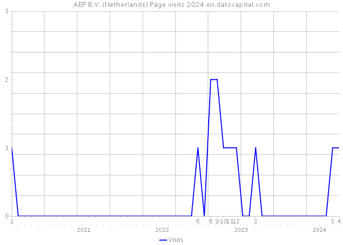 AEP B.V. (Netherlands) Page visits 2024 