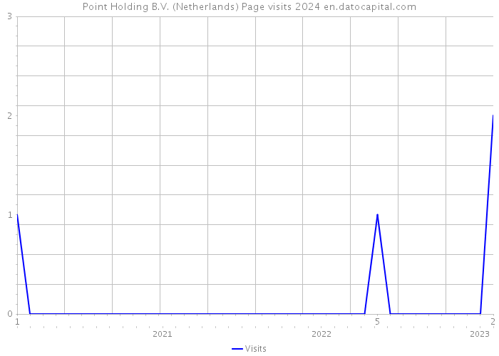 Point Holding B.V. (Netherlands) Page visits 2024 