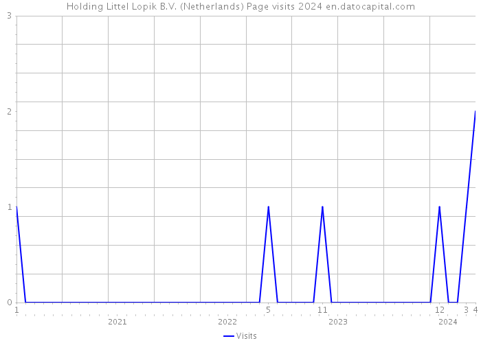 Holding Littel Lopik B.V. (Netherlands) Page visits 2024 