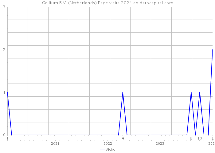 Gallium B.V. (Netherlands) Page visits 2024 