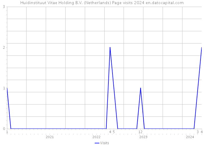Huidinstituut Vitae Holding B.V. (Netherlands) Page visits 2024 