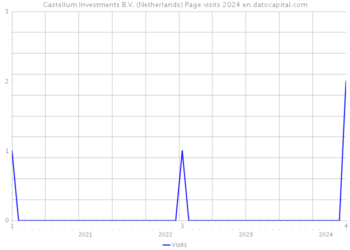 Castellum Investments B.V. (Netherlands) Page visits 2024 