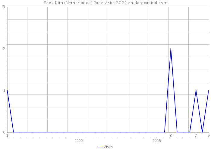 Seok Kim (Netherlands) Page visits 2024 