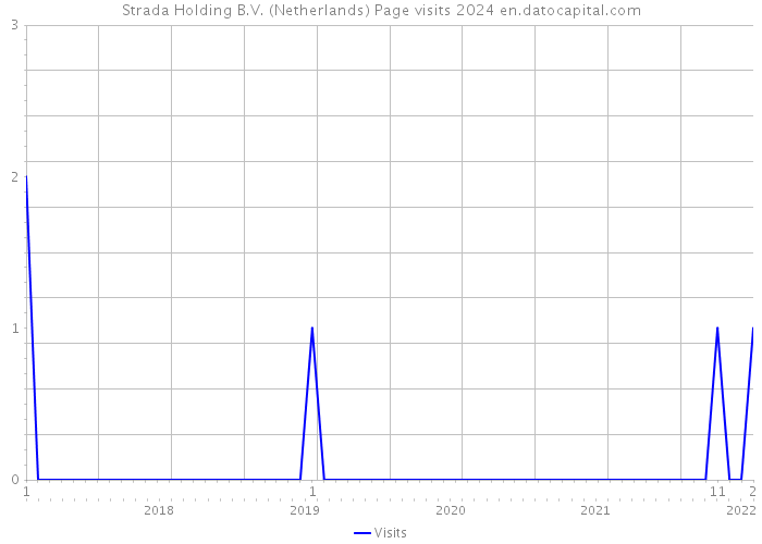 Strada Holding B.V. (Netherlands) Page visits 2024 