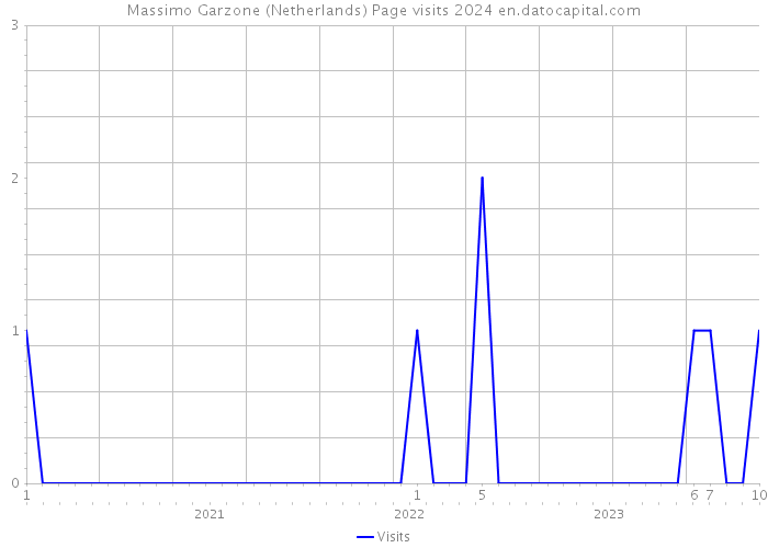 Massimo Garzone (Netherlands) Page visits 2024 