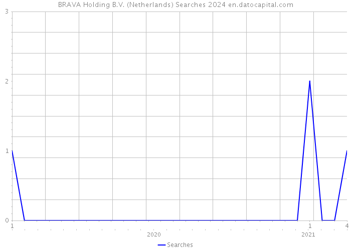 BRAVA Holding B.V. (Netherlands) Searches 2024 