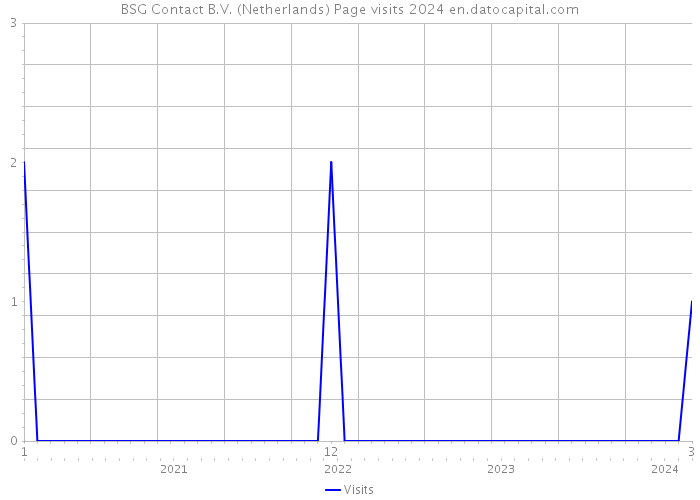 BSG Contact B.V. (Netherlands) Page visits 2024 