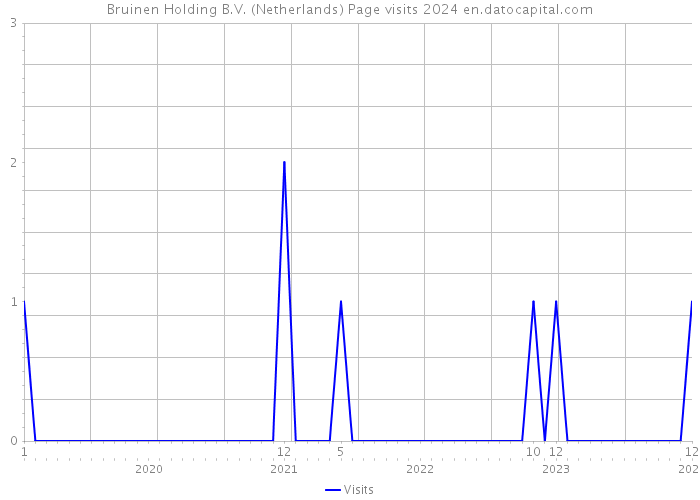 Bruinen Holding B.V. (Netherlands) Page visits 2024 