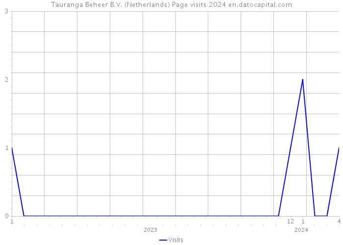 Tauranga Beheer B.V. (Netherlands) Page visits 2024 