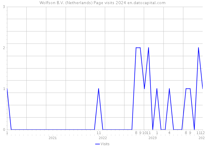 Wolfson B.V. (Netherlands) Page visits 2024 