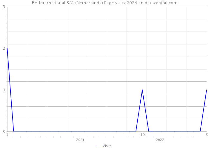 FM International B.V. (Netherlands) Page visits 2024 