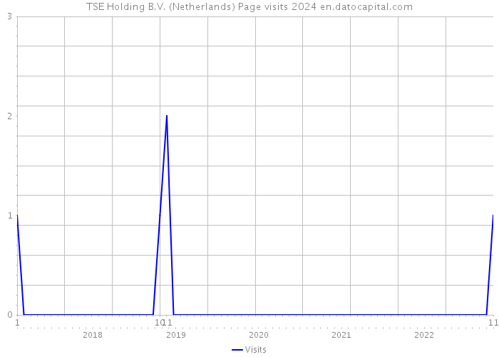TSE Holding B.V. (Netherlands) Page visits 2024 