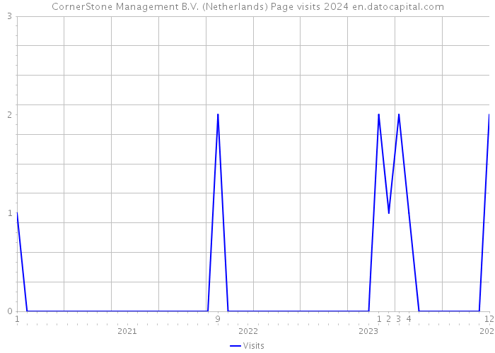 CornerStone Management B.V. (Netherlands) Page visits 2024 