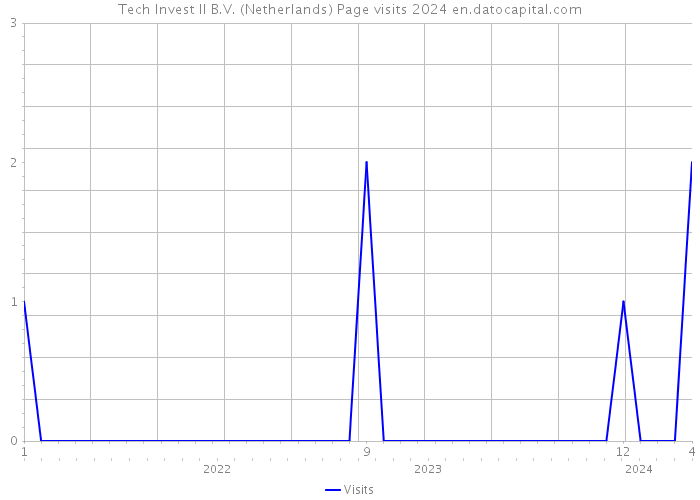 Tech Invest II B.V. (Netherlands) Page visits 2024 
