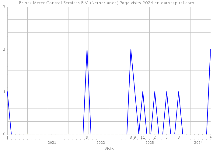 Brinck Meter Control Services B.V. (Netherlands) Page visits 2024 