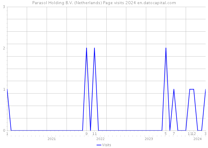 Parasol Holding B.V. (Netherlands) Page visits 2024 