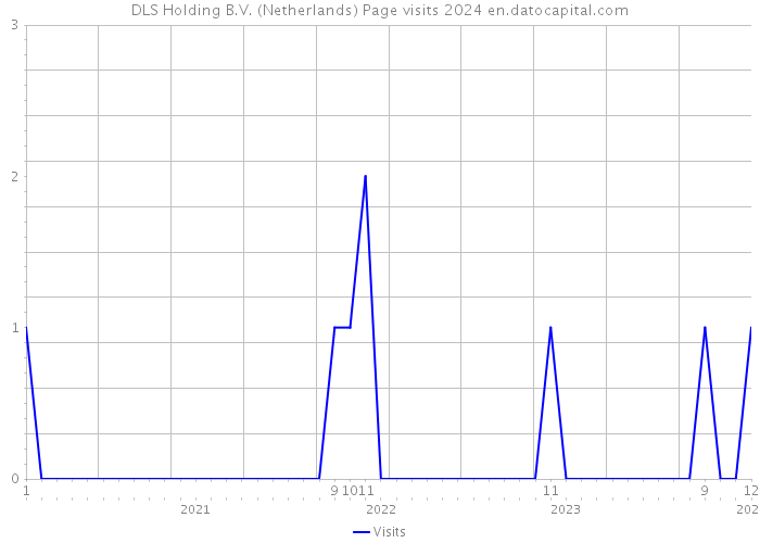 DLS Holding B.V. (Netherlands) Page visits 2024 