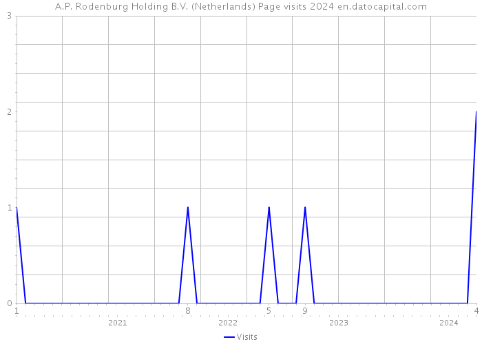 A.P. Rodenburg Holding B.V. (Netherlands) Page visits 2024 