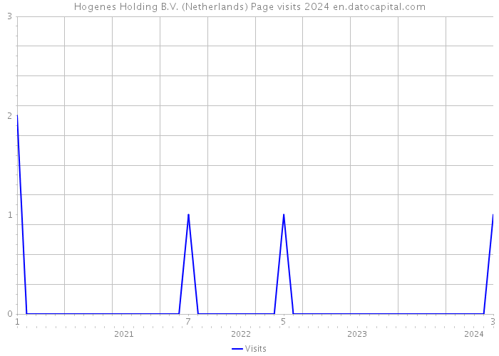 Hogenes Holding B.V. (Netherlands) Page visits 2024 