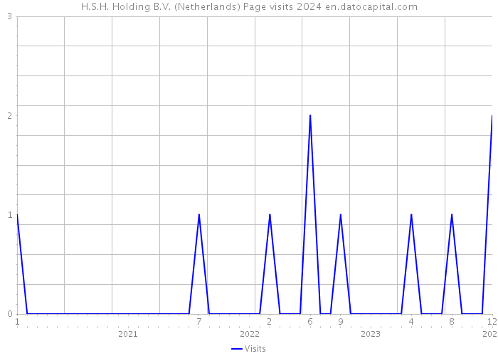 H.S.H. Holding B.V. (Netherlands) Page visits 2024 