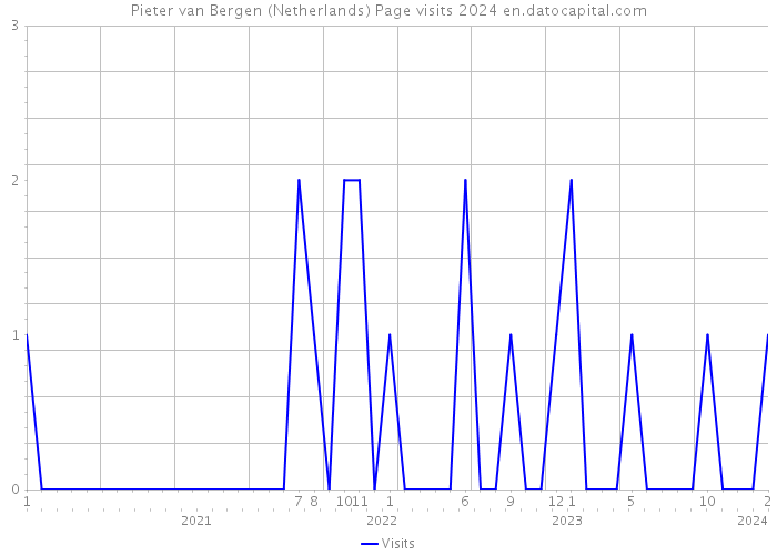 Pieter van Bergen (Netherlands) Page visits 2024 