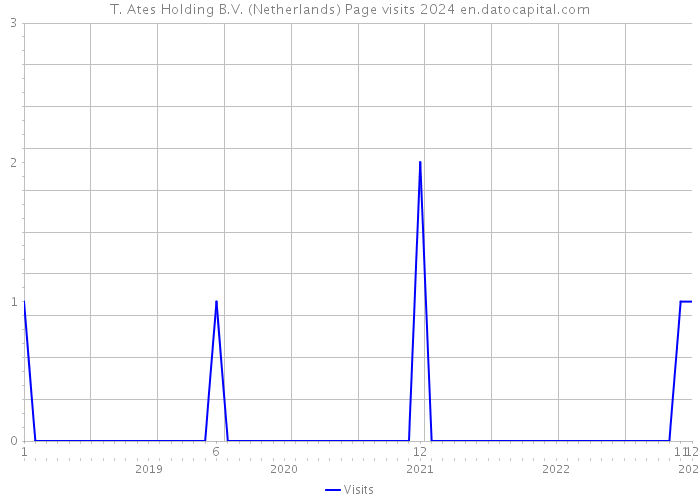 T. Ates Holding B.V. (Netherlands) Page visits 2024 