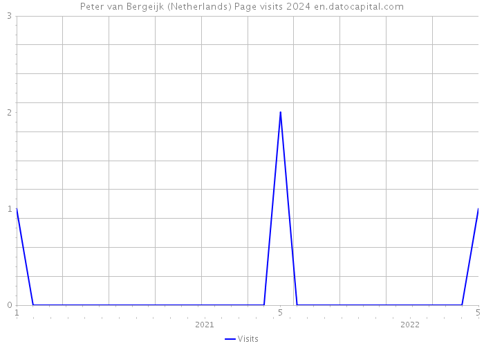 Peter van Bergeijk (Netherlands) Page visits 2024 