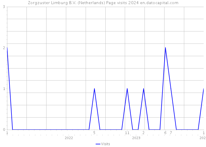 Zorgzuster Limburg B.V. (Netherlands) Page visits 2024 