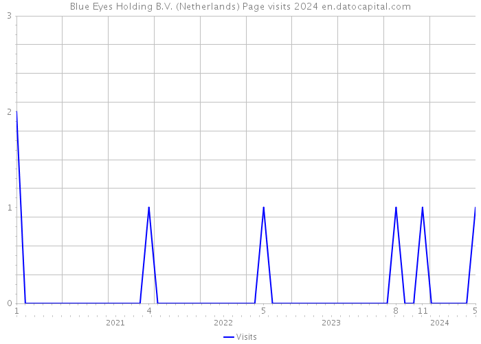 Blue Eyes Holding B.V. (Netherlands) Page visits 2024 