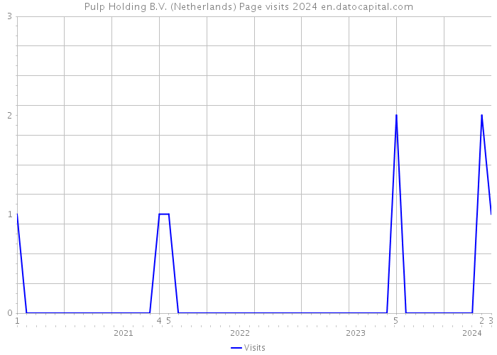 Pulp Holding B.V. (Netherlands) Page visits 2024 