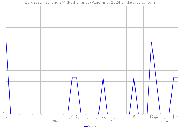 Zorgzuster Salland B.V. (Netherlands) Page visits 2024 
